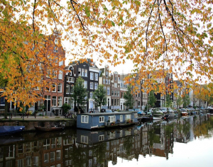 Julia Willard, Julie Willard, Amsterdam, Netherlands, fall photo, yellow leaves, fall colors Amsterdam